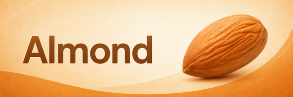 Almond wordmark with a single almond